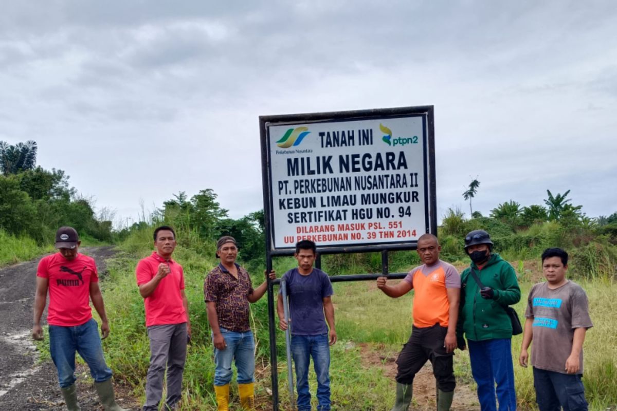 Pembersihan Areal HGU No.94 Limau Mungkur Akan Dilanjutkan, Sejumlah Penggarap Disomasi