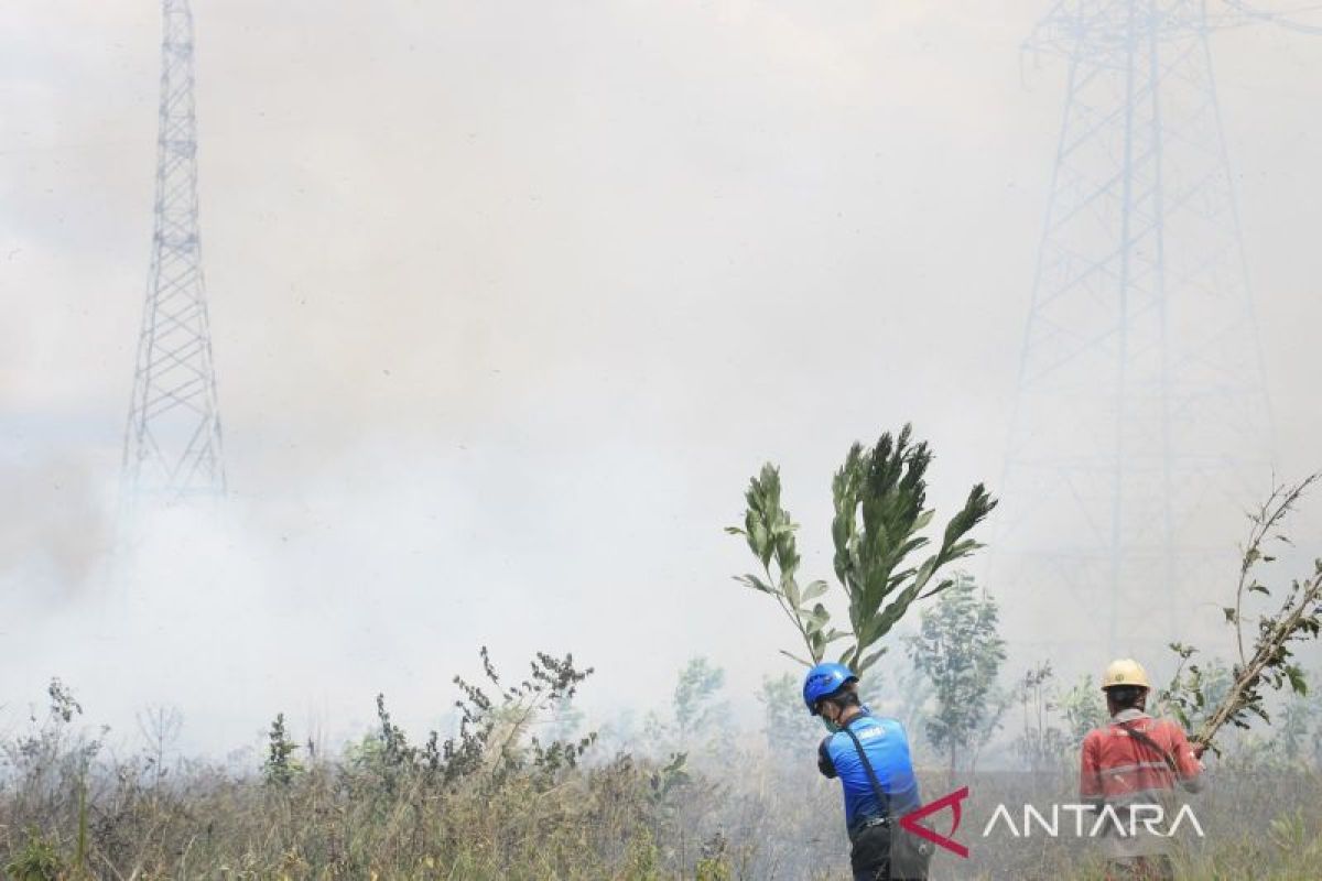 Petugas PLN berjibaku padamkan karhutla sekitar Gardu Induk Bandara Banjarbaru