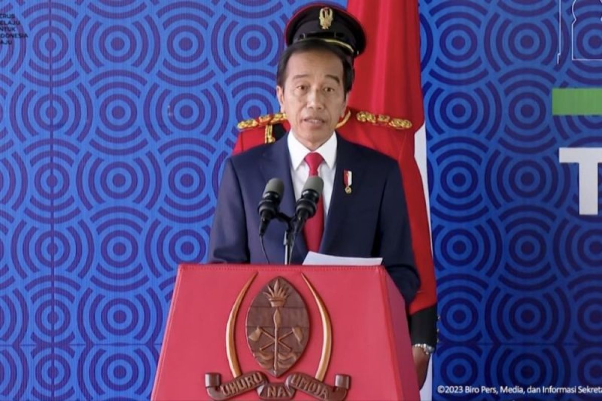 Jokowi sampaikan komitmen RI wujudkan kolaborasi konkret dengan Afrika