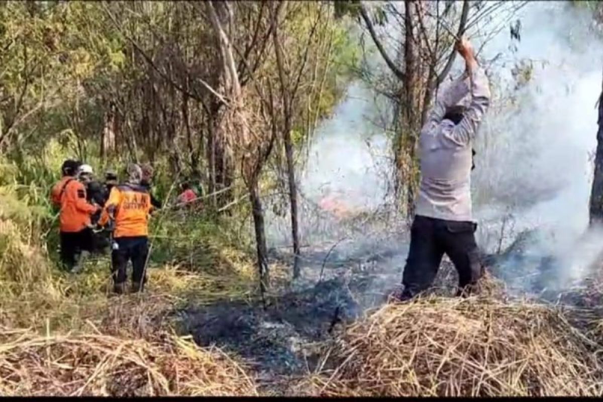 Petugas gabungan padamkan kebakaran hutan kawasan TNBTS Lumajang