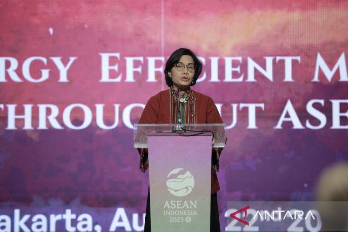 Indonesia needs US$200 bln for sustainable development: Minister