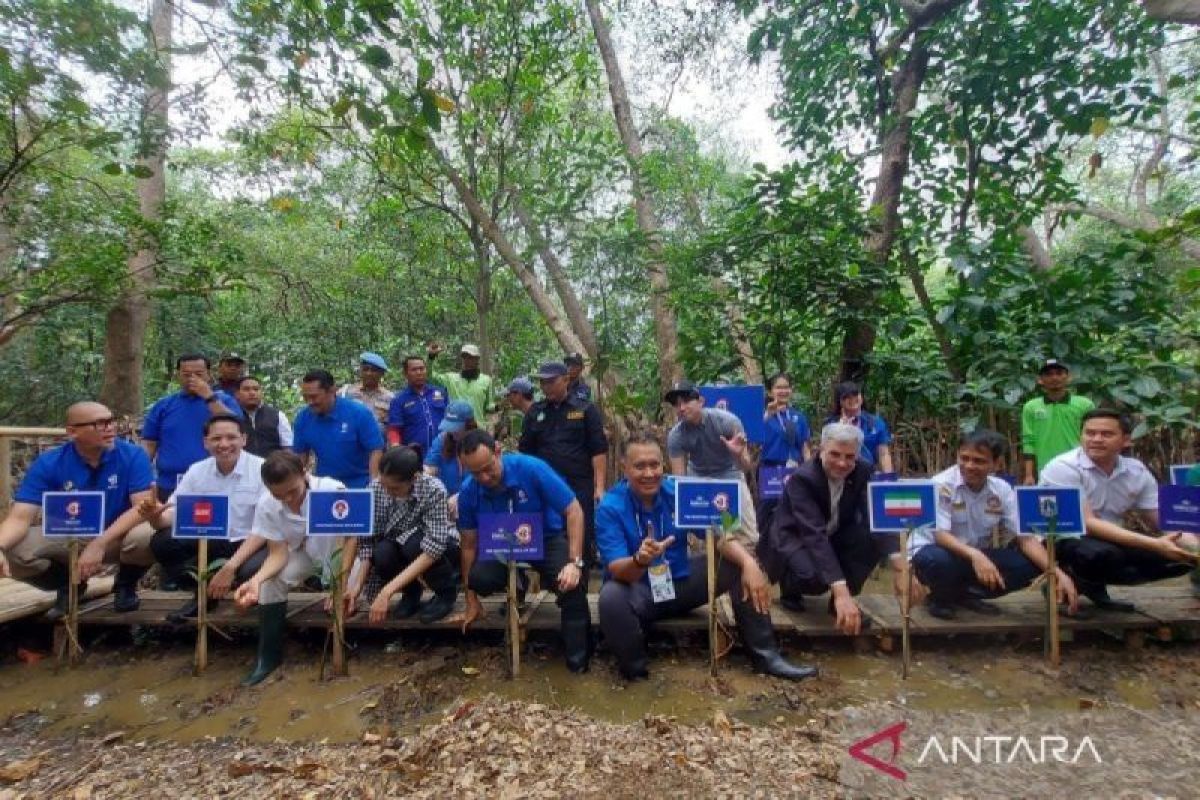 56 pohon mangrove ditanam gantikan jejak karbon pesawat peserta FBWC 2023