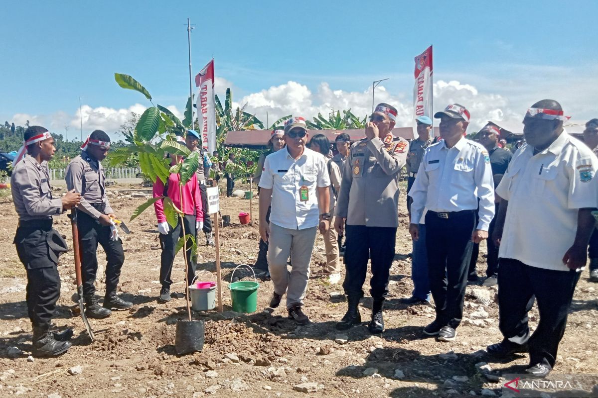 BPDAS Remu Ransiki sediakan 100 ribu bibit pohon gratis bagi masyarakat