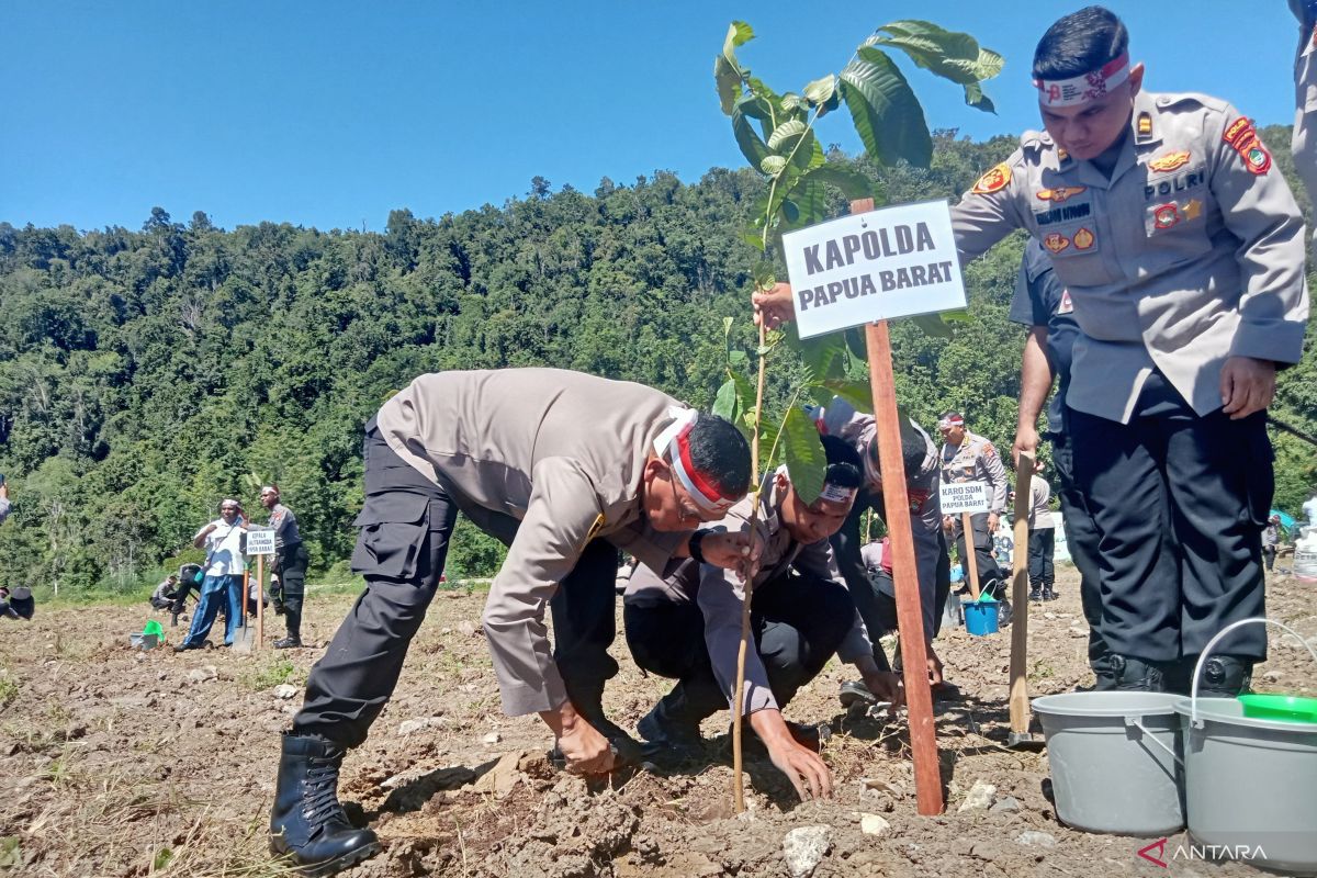 Polda Papua Barat gerakkan aparat kepolisian di wilayah kerjanya tanam 13.300 bibit pohon