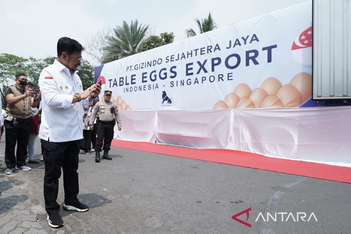 Indonesia ekspor telur ayam konsumsi Rp1,15 miliar ke Singapura