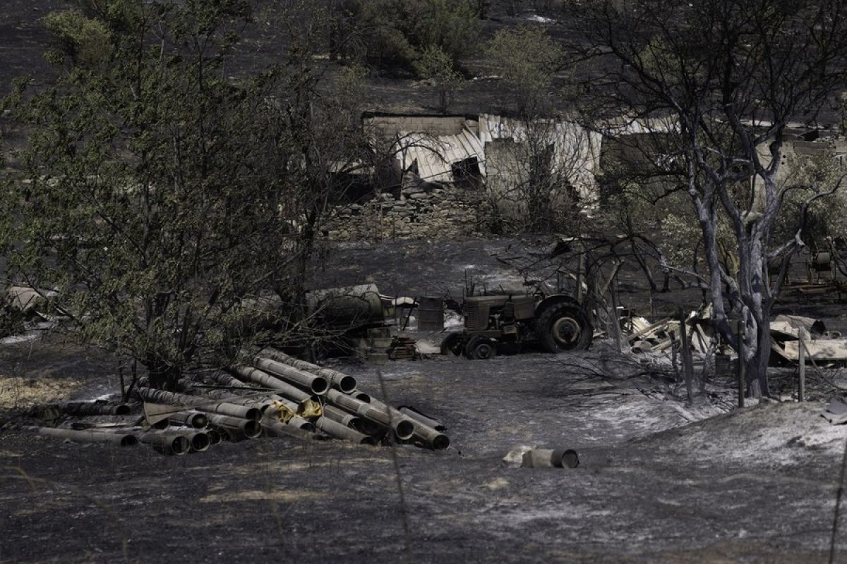 18 tewas saat kebakaran hutan di Yunani berlanjut