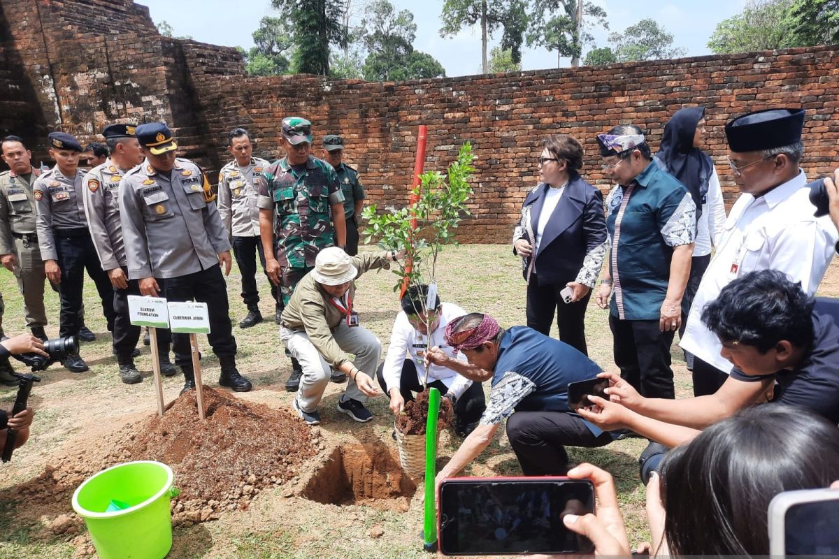 Djarum Foundation dan Pemprov Jambi tanam pohon di kalasan candi Muaro Jambi