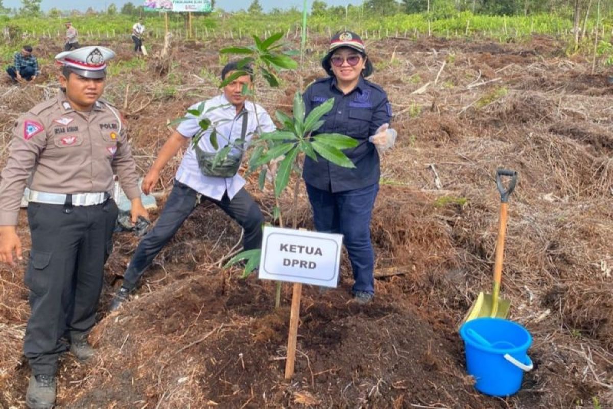 Ketua DPRD Kotim Ajak Masyarakat Manfaatkan Lahan Kosong - ANTARA News ...