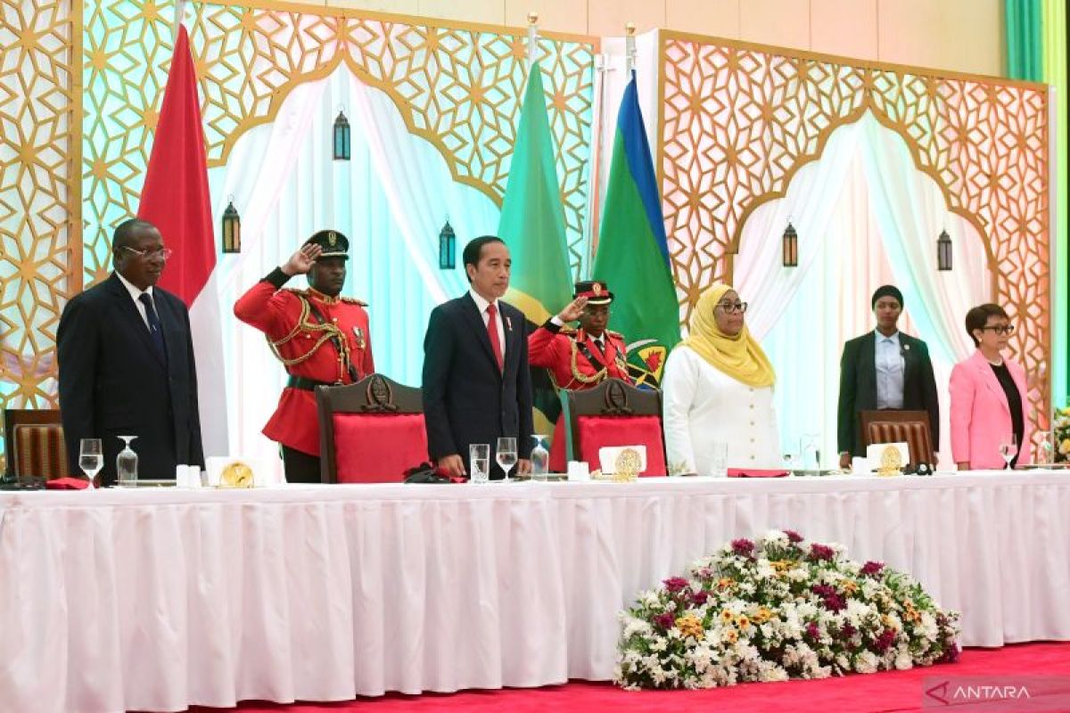 Jokowi sebut Indonesia-Tanzania miliki persamaan identitas