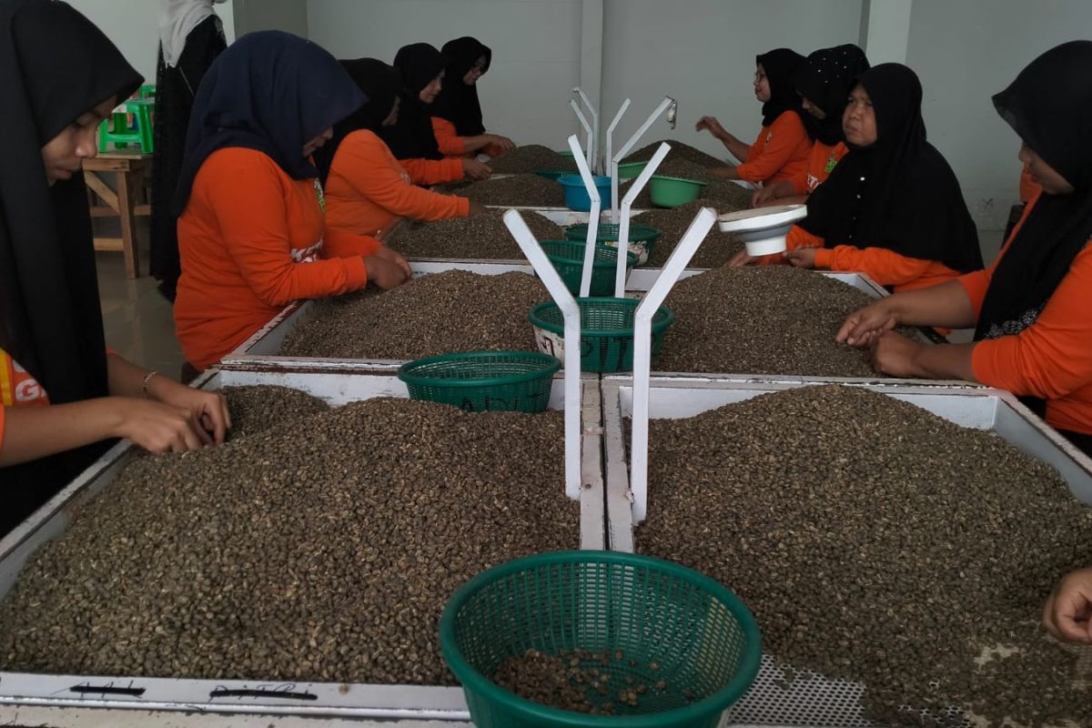 Bea Cukai sebut Italia butuh pasokan 60 ribu ton kopi dari Aceh
