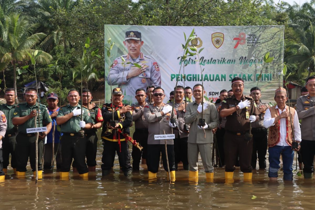 Polres Paser tanam 1000 pohon mangrove  di Desa Modang