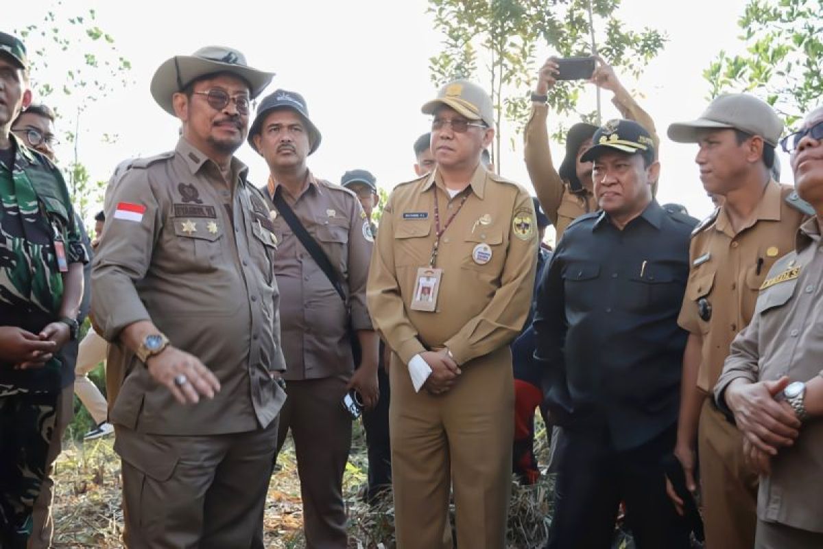 Mentan-Wagub Kalteng tinjau lahan di Gunung Mas terkait "food estate"