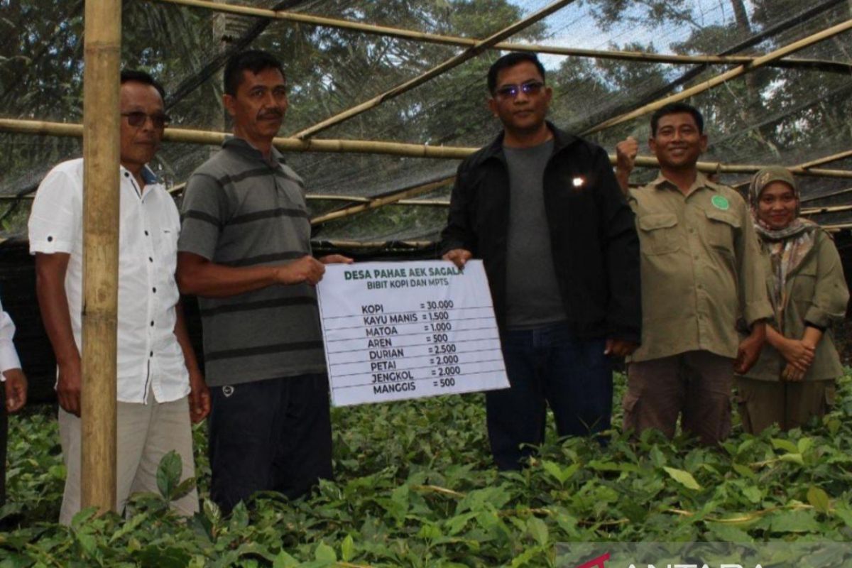 Wakil Bupati Tapsel bagikan ribuan bibit pohon kepada petani