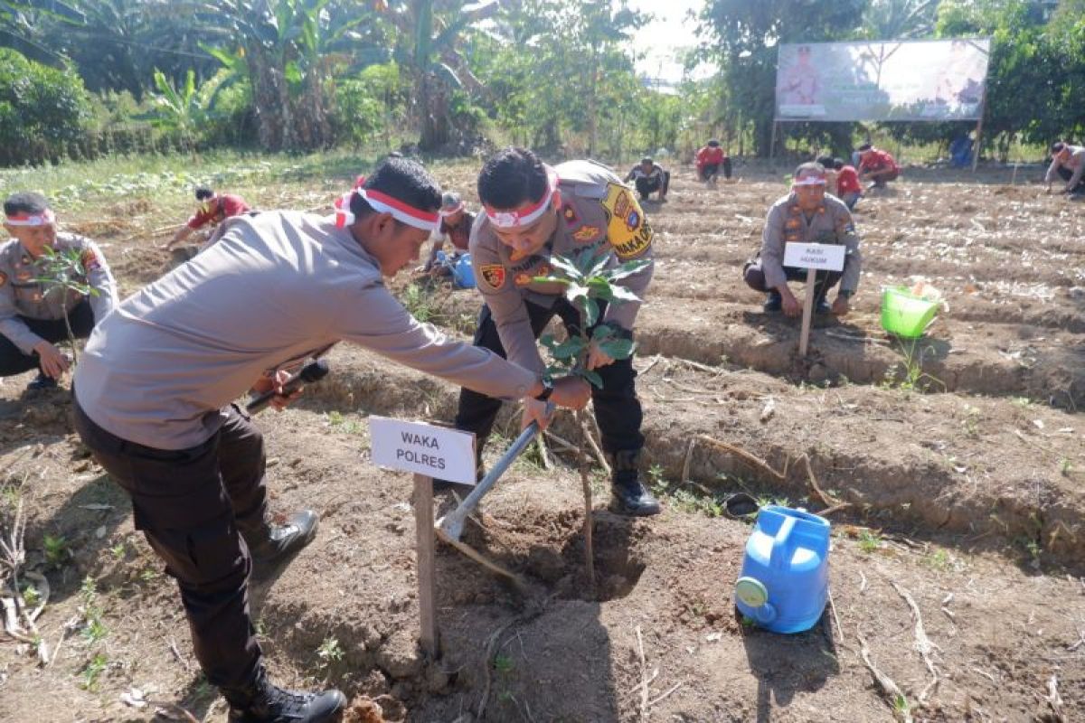 Polres Tabalong lakukan penanaman pohon di tiga kecamatan