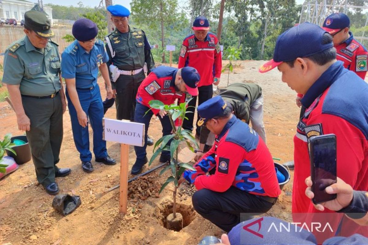 Pemkot Bengkulu tanam 5.000 bibit pohon di Kota Merah Putih