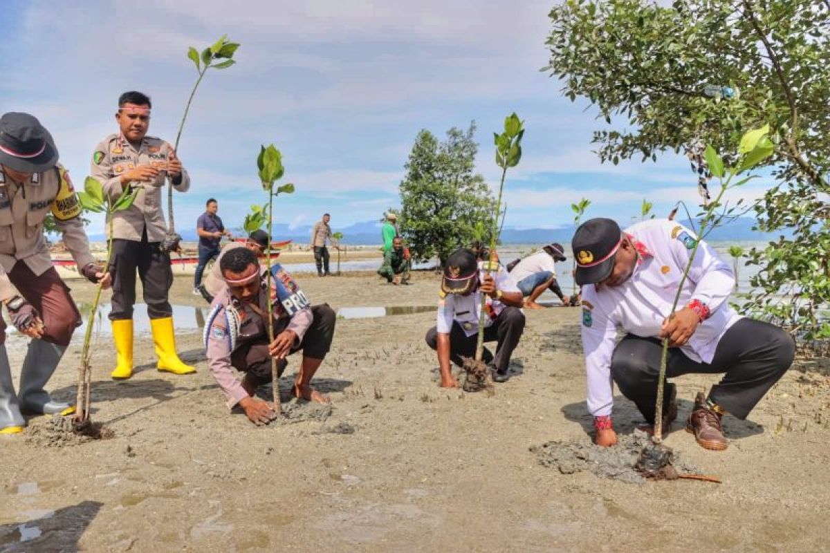 Polres Teluk Wondama tanam 1.000 bibit pohon di Wasior - ANTARA News ...