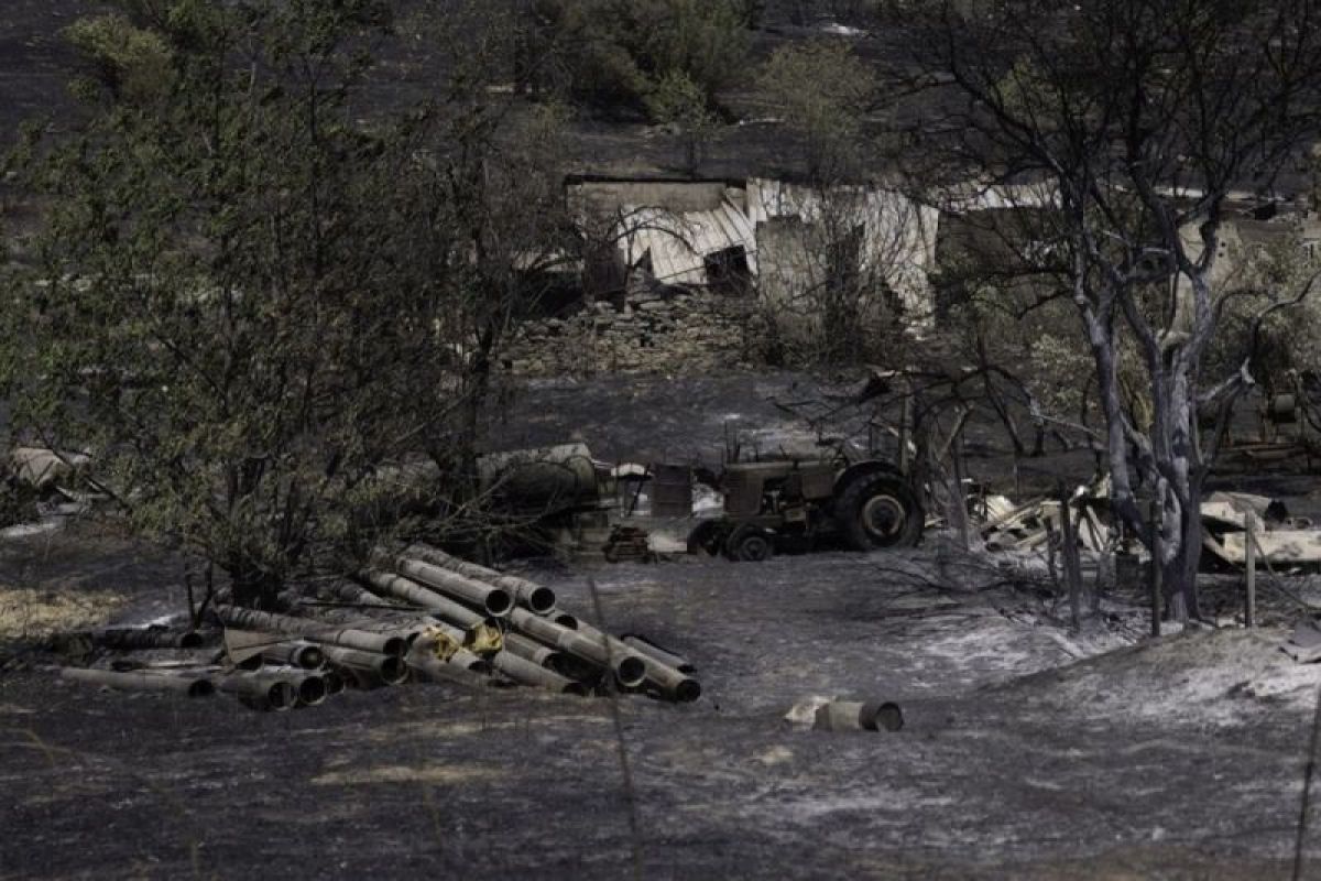 18 orang dinyatakan tewas saat kebakaran hutan di Yunani berlanjut
