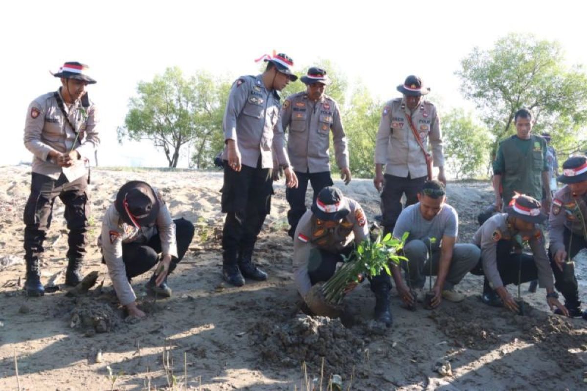 Polres Kupang hijaukan pantai wisata Sulamanda dengan 1.000 mangrove