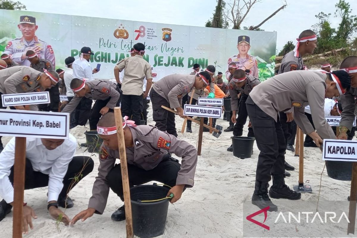 Lahan bekas tambang timah di Bangka Belitung ditanami bibit pohon