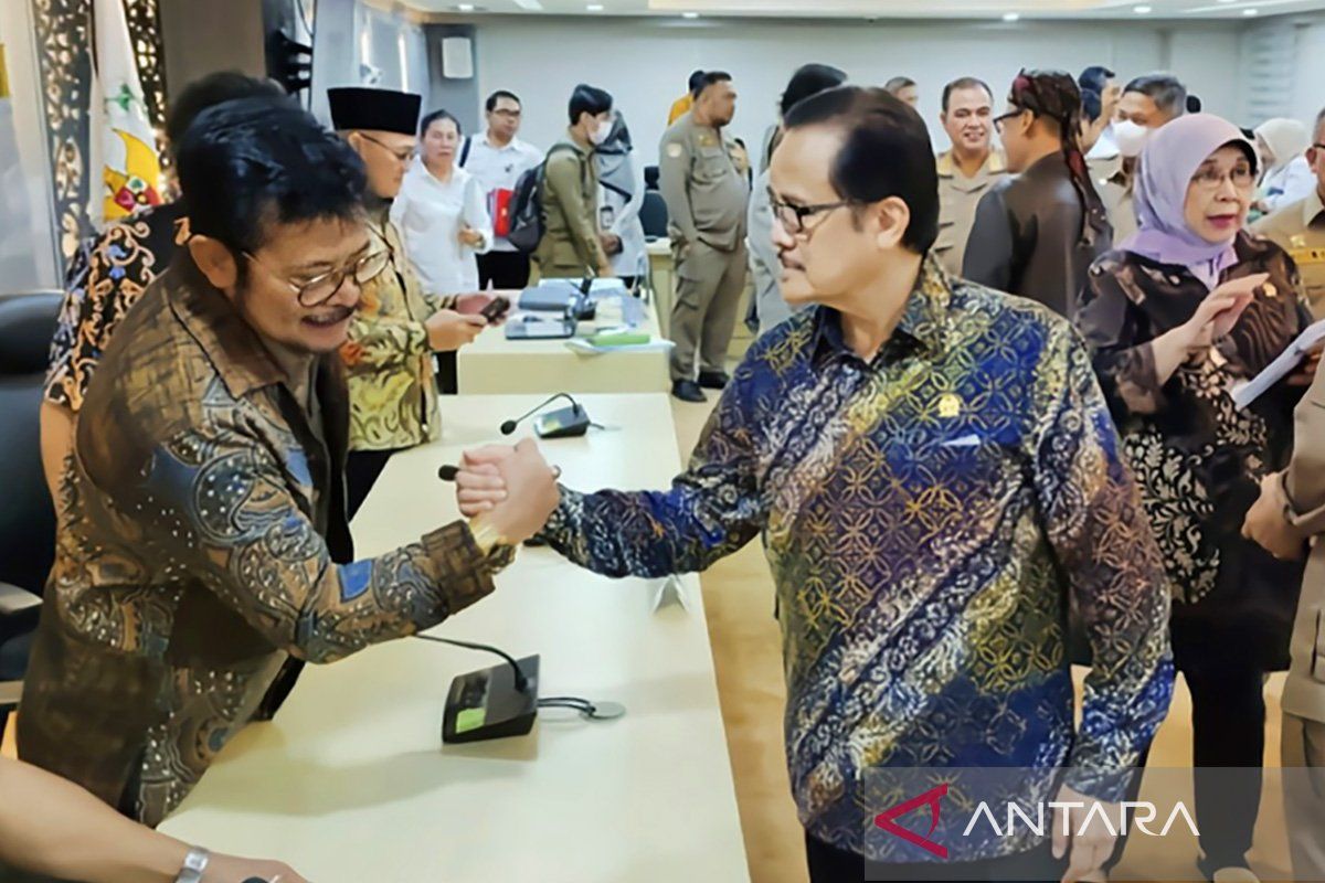 Anggota DPD RI sebut proyek food estate di Kalteng harus berlanjut