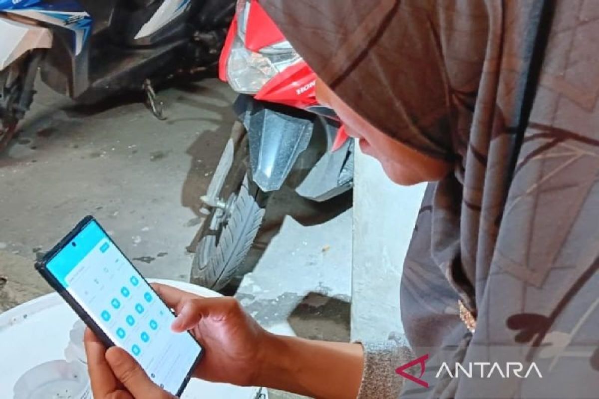 PT PLN Papua: Hingga Agustus PLN Mobile naik jadi 209.443 pengguna