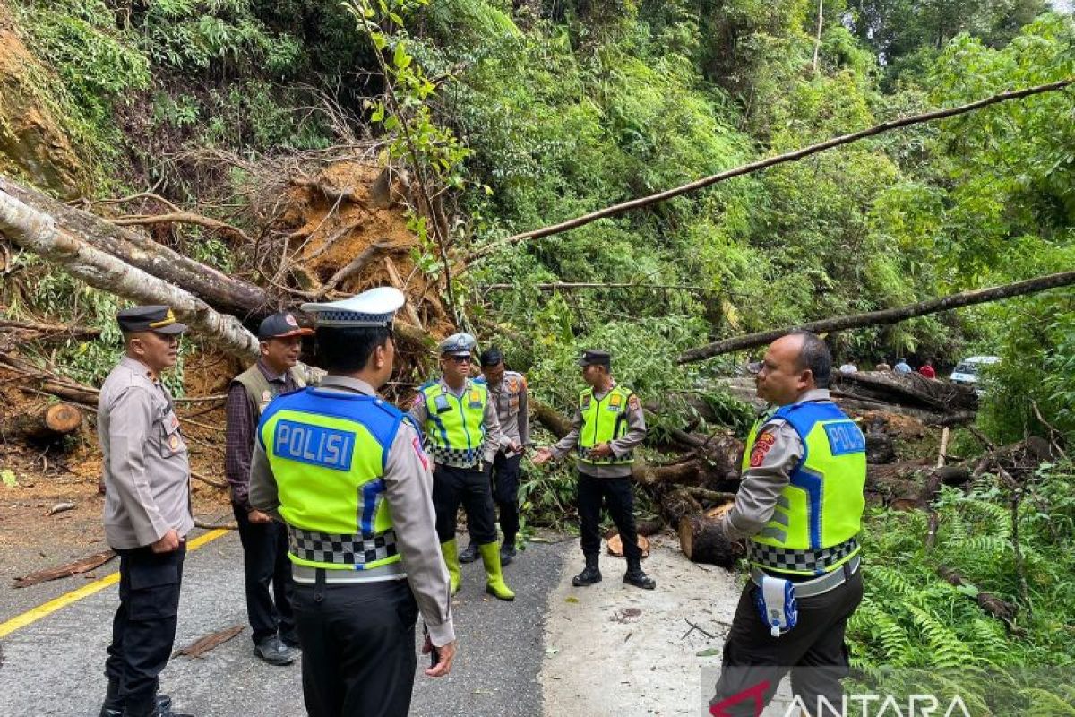 Jalur alternatif untuk menghindari longsor di Jalan Lintasan Blangkejeren-Takengon