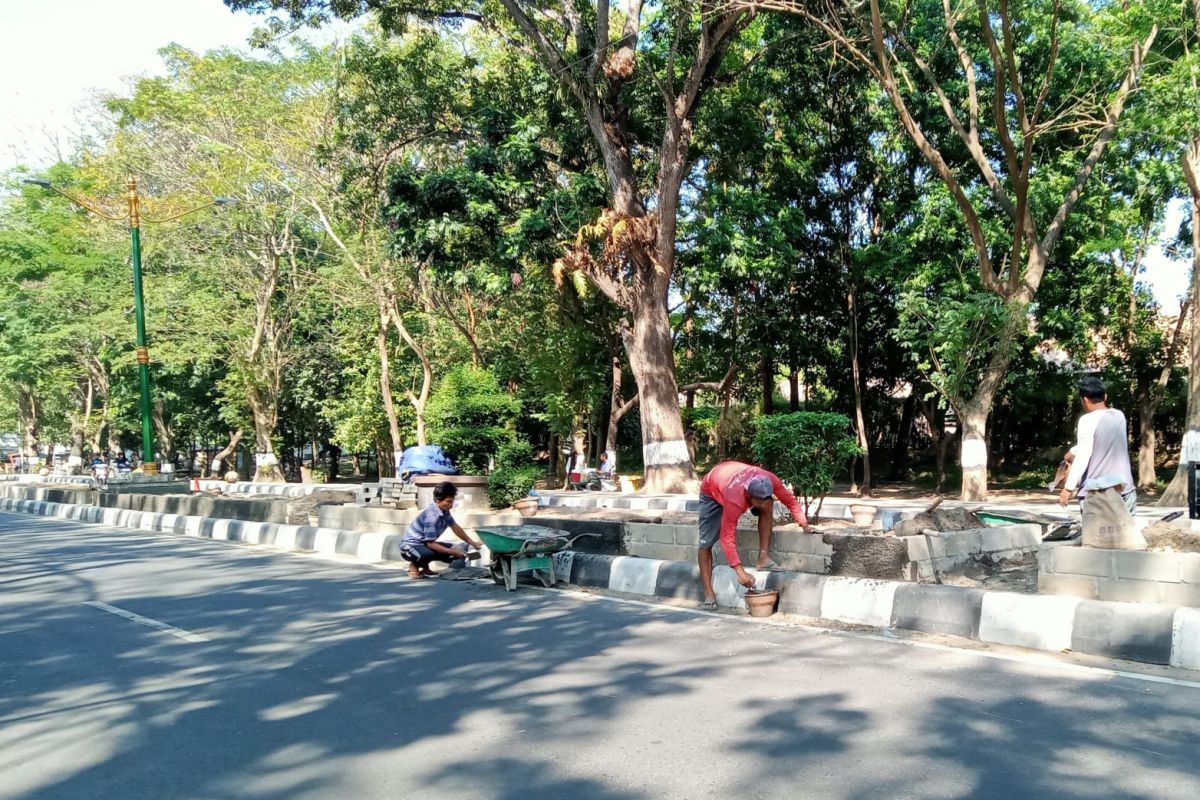 DLH Mataram menuntaskan penataan 1,8 kilometer median Jalan Udayana