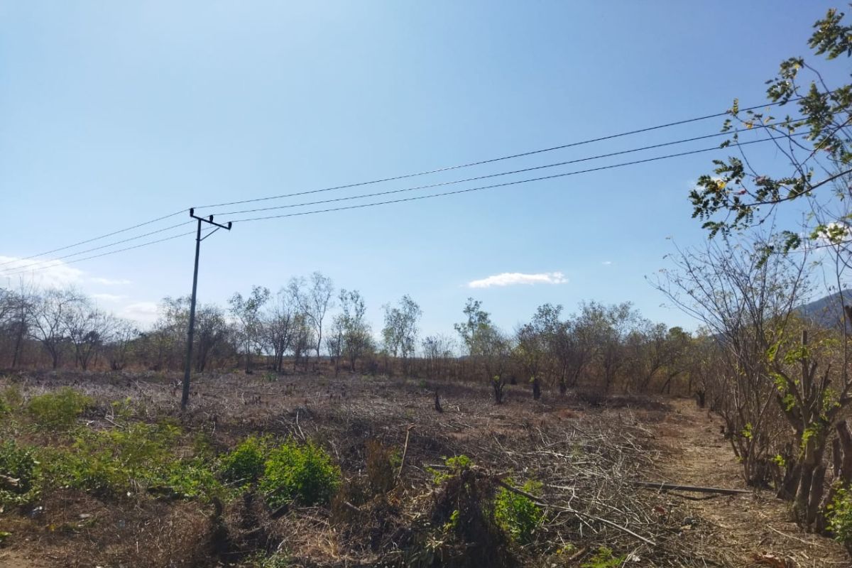 BMKG imbau masyarakat NTT waspadai bencana kekeringan