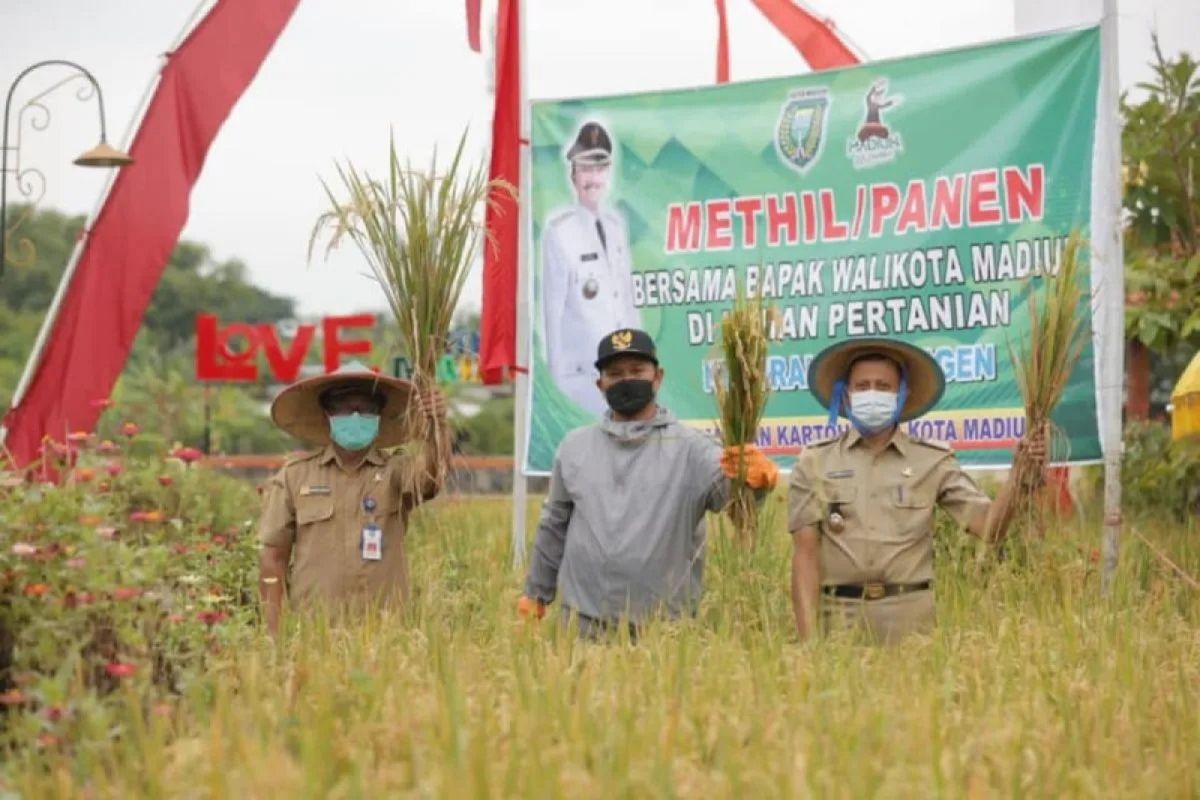 Dinas Pertanian Kota Madiun anggarkan Rp1,3 miliar untuk pupuk petani