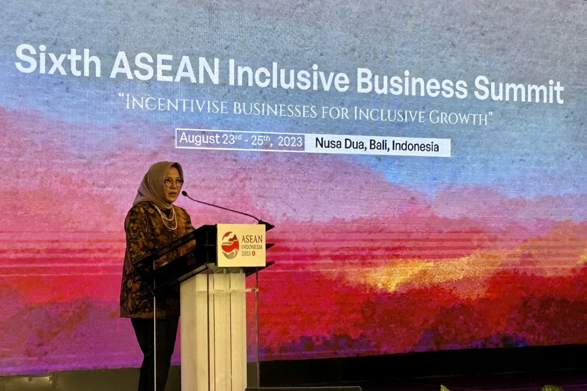 ASEAN merumuskan pembentukan lembaga keuangan UMKM pasca IB Summit
