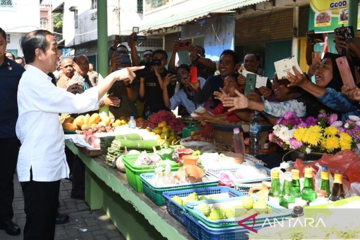 Presiden Jokowi tinjau harga kebutuhan pokok di Pasar Brahrang