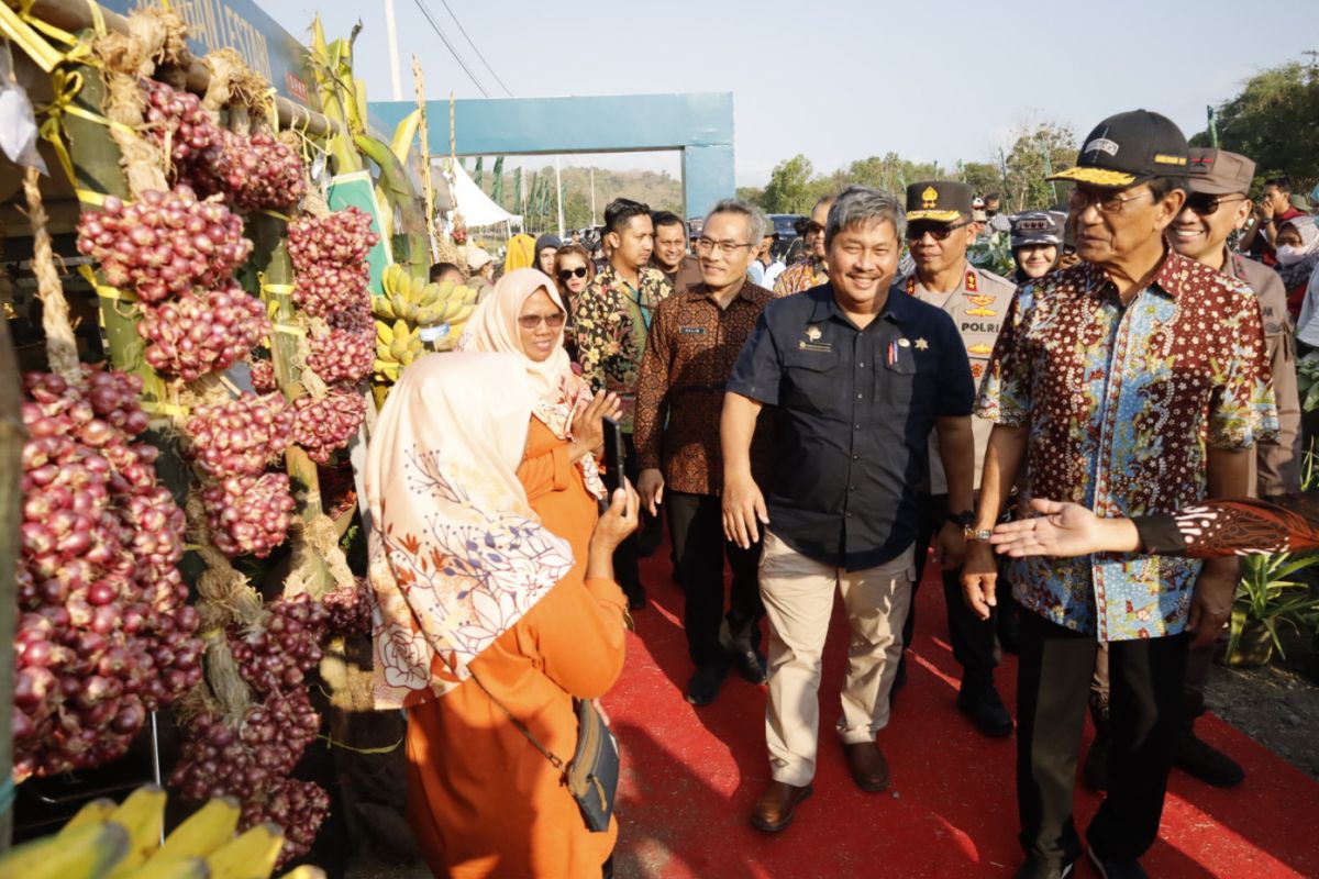 Kementan: Produktivitas panen bawang merah di lahan kawasan pantai selatan DIY di atas nasional