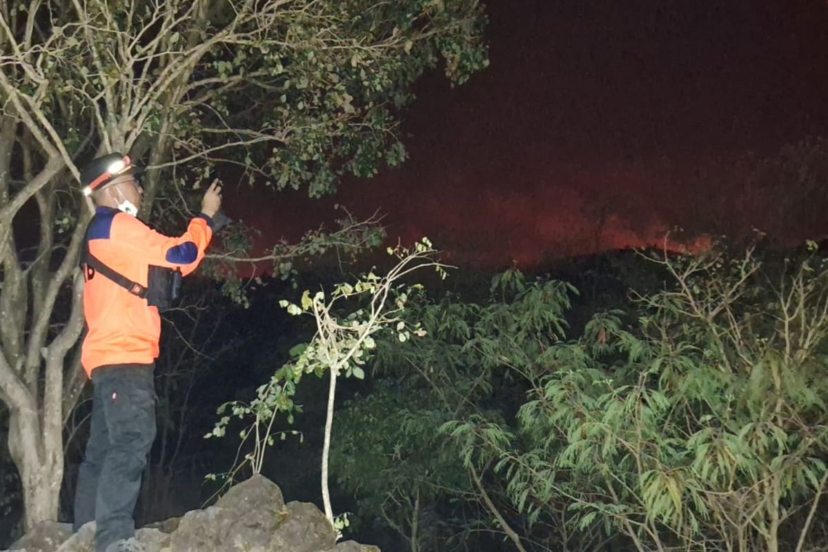 Petugas gabungan berupaya padamkan kebakaran hutan di Gunung Ciremai