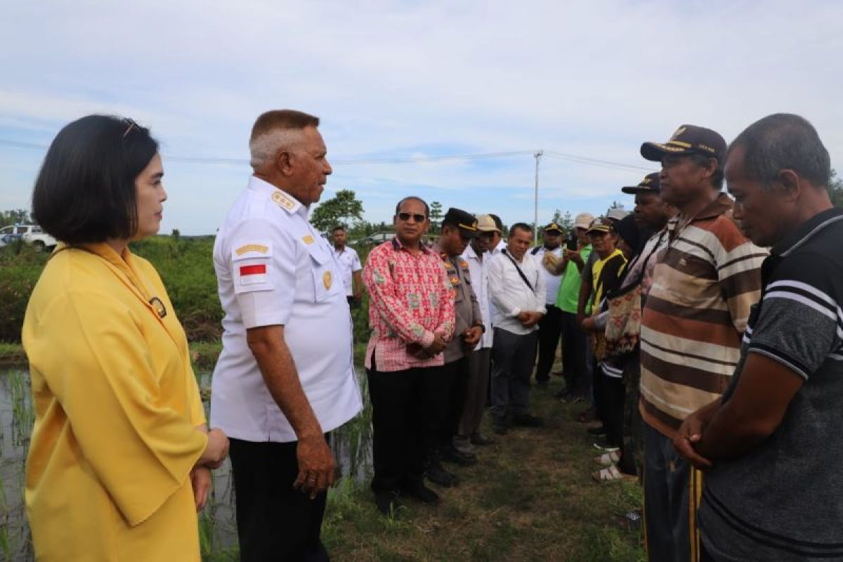 Gubernur Waterpauw memotivasi petani di Oransbari Manokwari Selatan