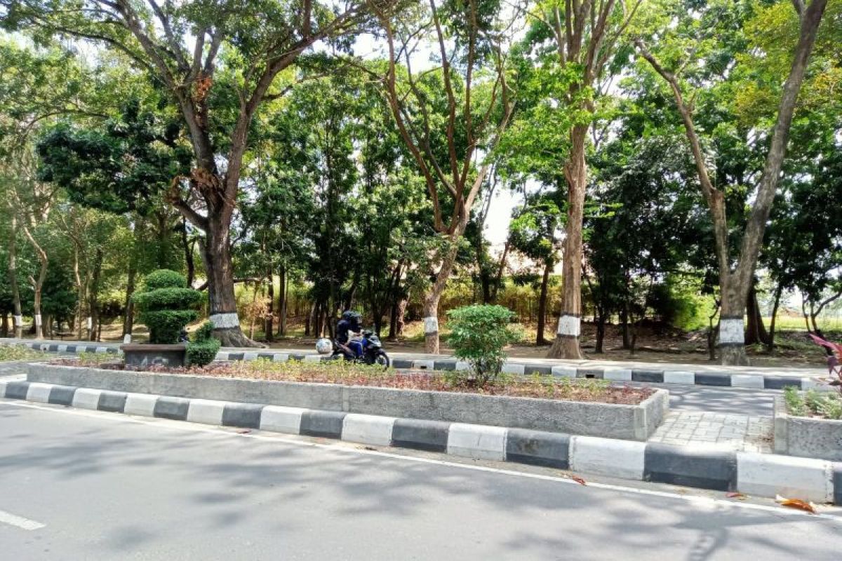 Pemerintah Kota Mataram merancang penataan Taman Udayana