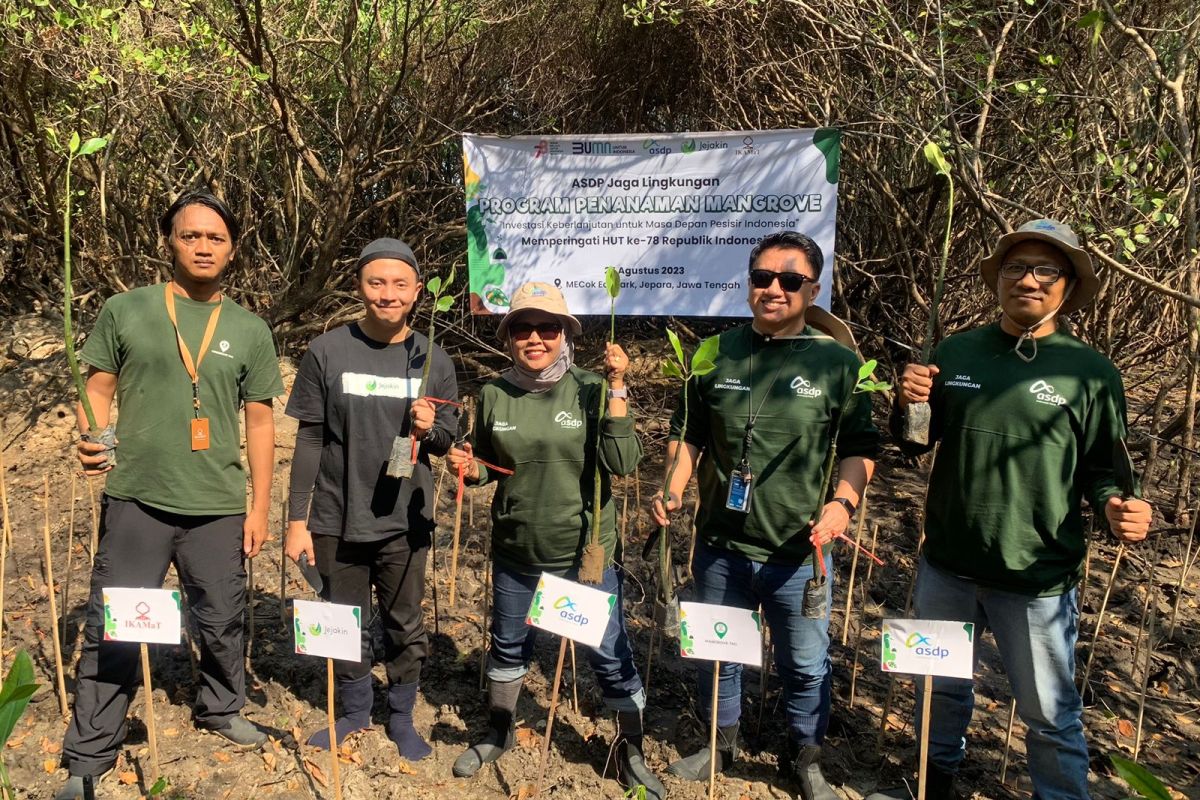 ASDP tanam 1.000 bibit pohon mangrove di Jepara