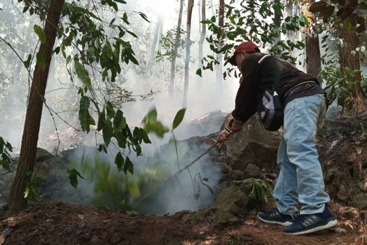 Kebakaran hutan Gunung Ciremai seluas 102 hektare