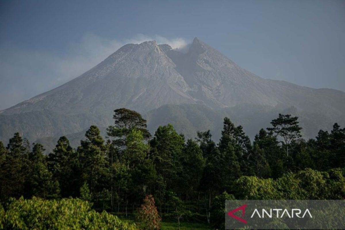 Gunung Merapi luncurkan 10 kali guguran lava pijar sejauh 1,6 km