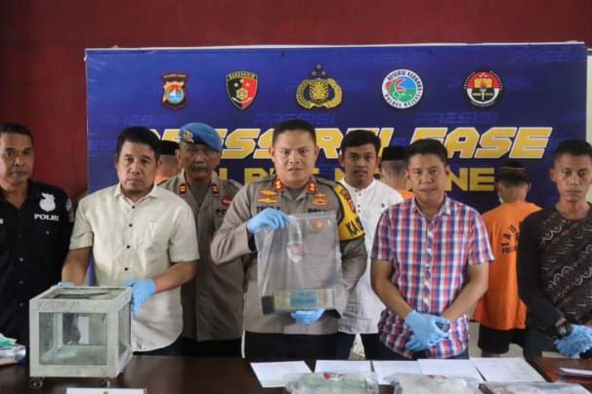 Polres Majene tangkap lima pencuri saat Operasi Sikat Marano 2023