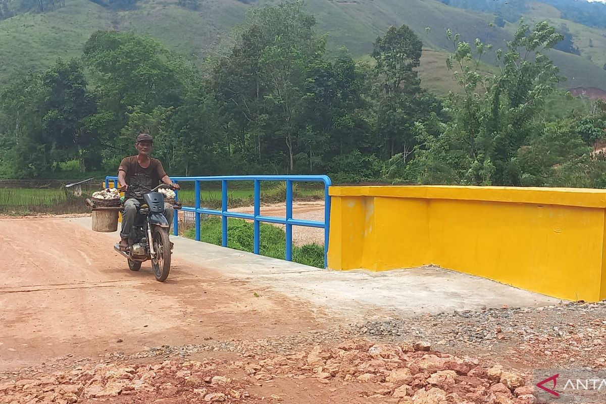 Jembatan non-APBD dorong ekonomi masyarakat petani Tapsel