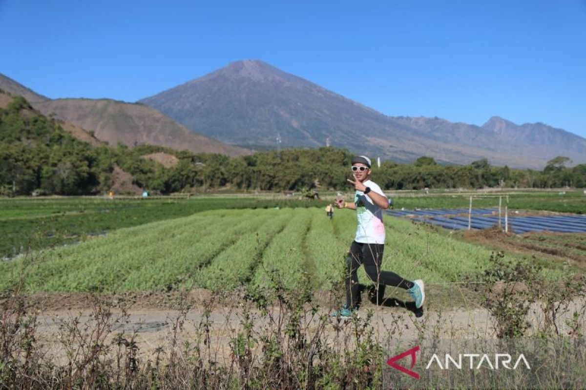 Kunjungan wisatawan ke kaki Gunung Rinjani Lombok Timur menggeliat