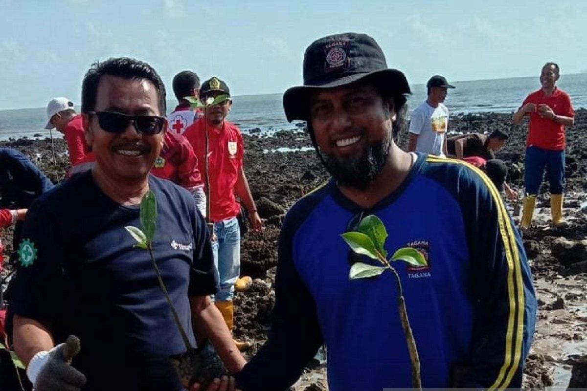 PT Timah - Pemkab Karimun tanam 1.000 mangrove