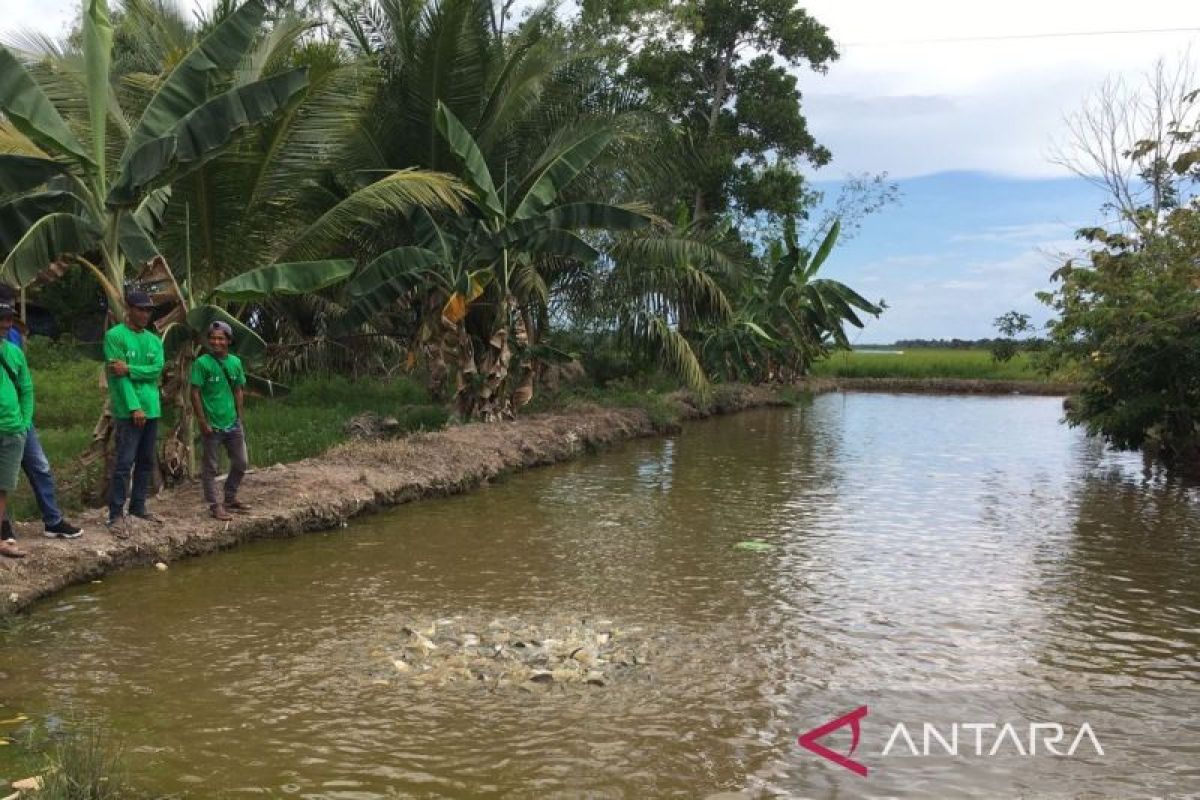 KKP tetapkan Desa Sebakung jadi kampung  ikan air tawar di Penajam