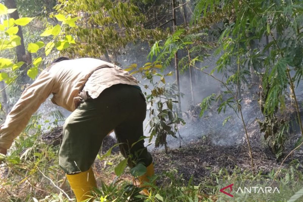 Kebakaran hutan di Gunung Ciremai sudah berhasil dipadamkan