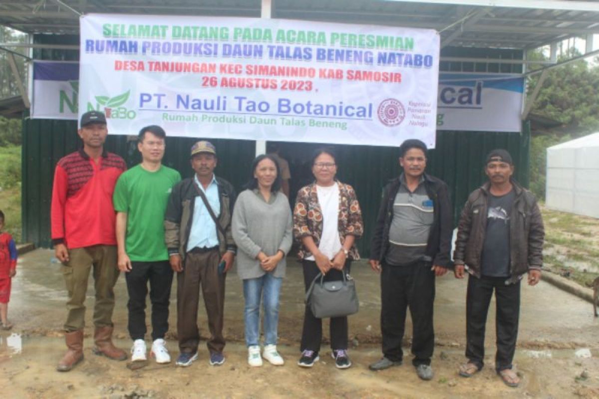 Koperasi Paniaran Nauli Nalagu bantu pengembangan Talas Beneng di Samosir