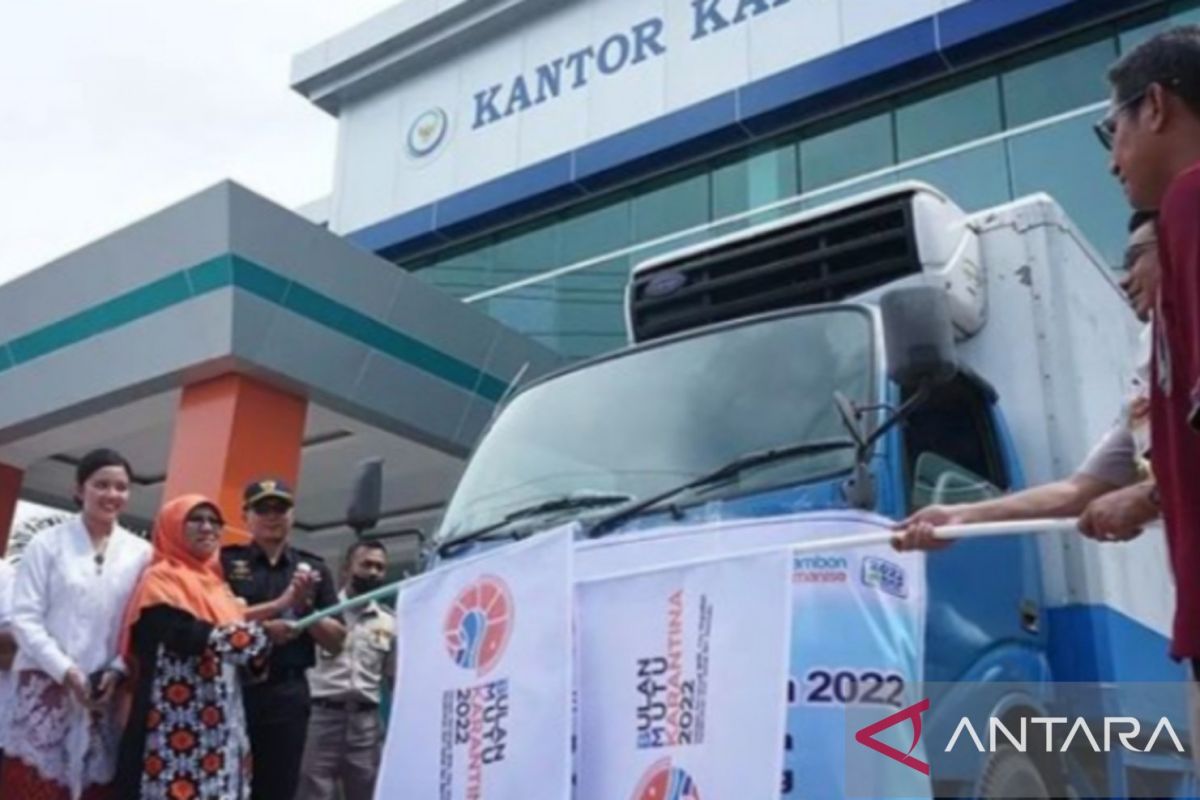 Alami peningkatan, BKIPM Ambon sebut Ekspor udang vaname Maluku capai 6.897 ton