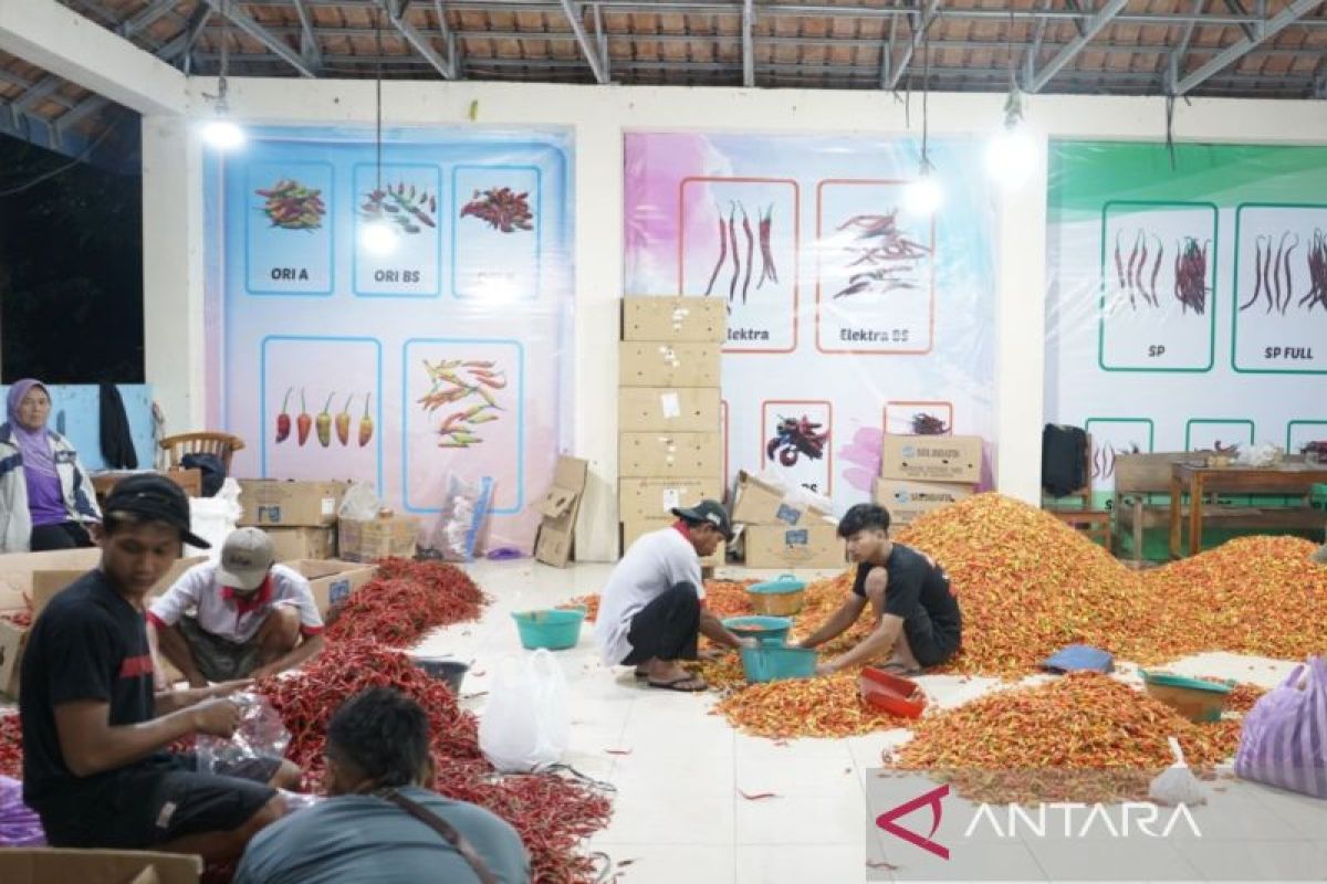 Upland Project Kementan bawa produk bawang goreng tembus pasar Belanda