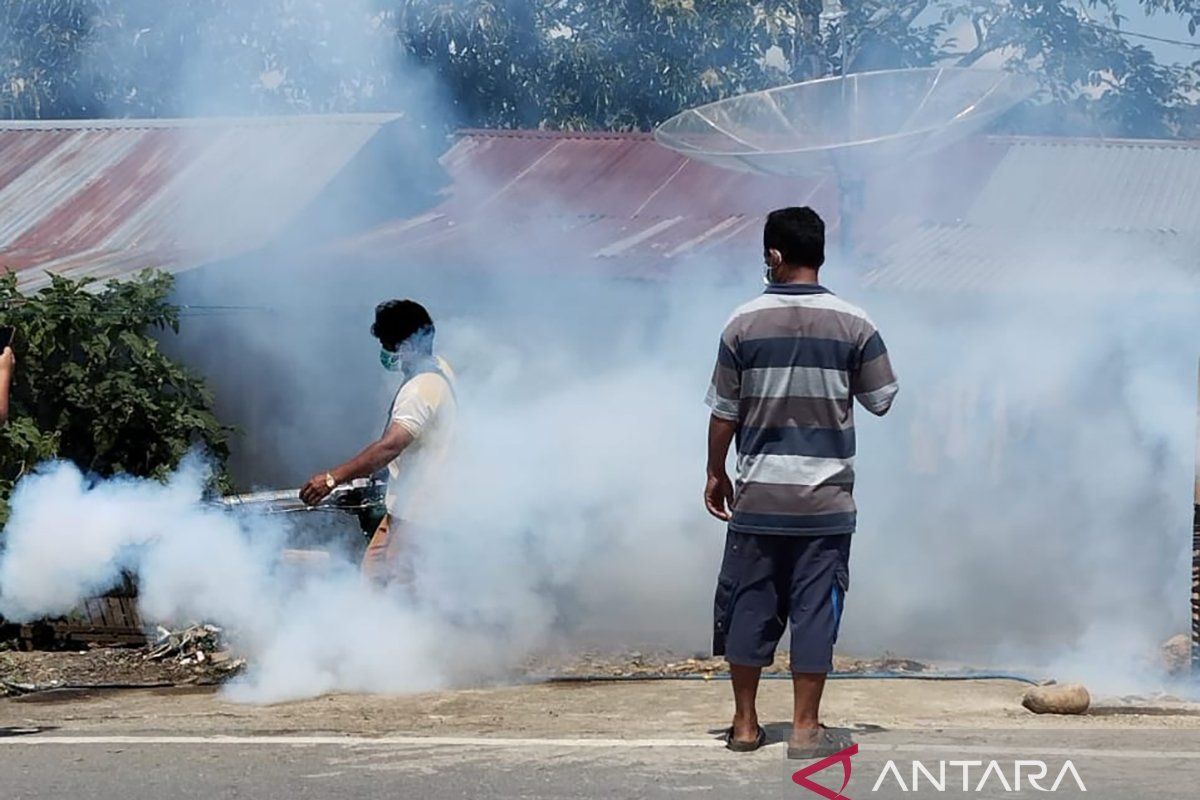 Dinkes Aceh Tenggara minta warga waspadai penyakit chikungunya, begini penjelasannya