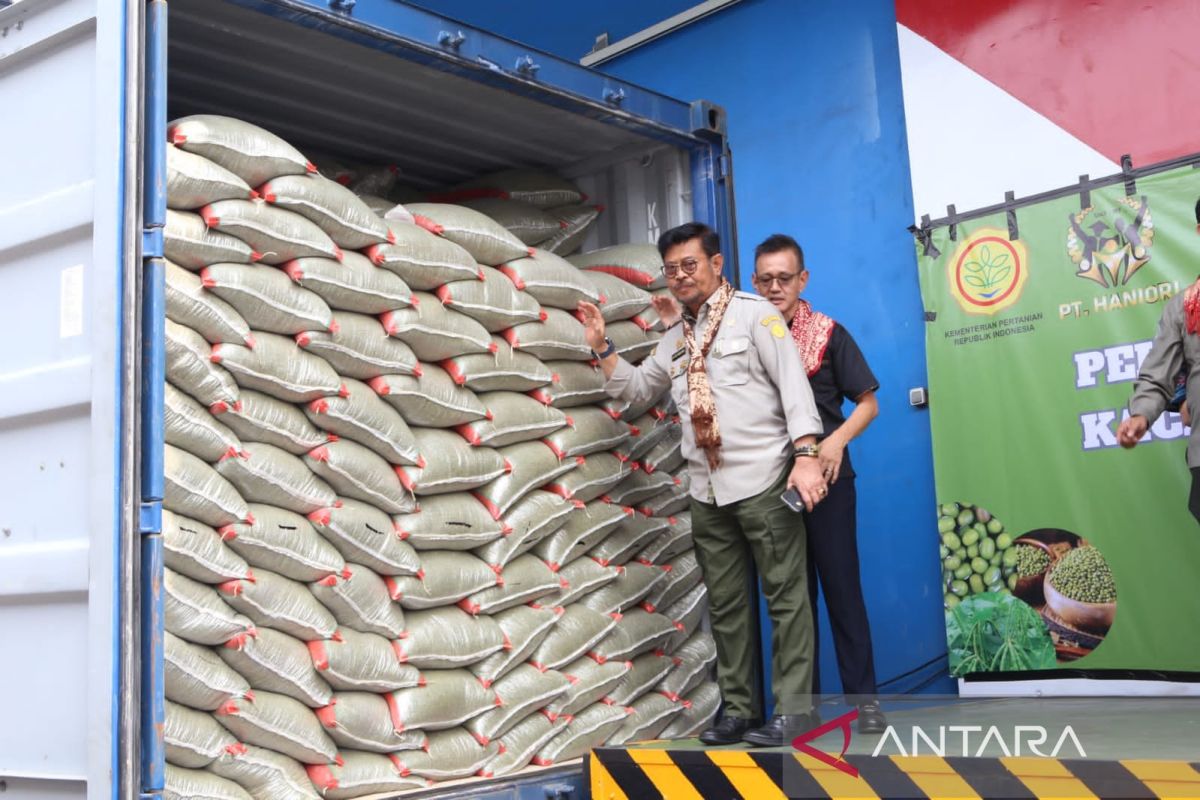 Mentan SYL lepas ekspor 1.000 ton kacang hijau ke China