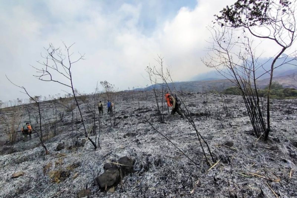 Pemadaman kebakaran di Gunung Arjuno terkendala ketinggian dan angin